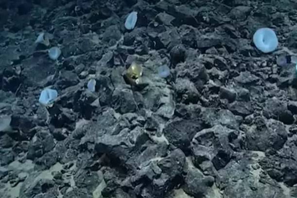 Okyanusun dibinde esrarengiz altın küre bulundu! Uzaylılara mı ait? Bilim dünyası şokta 13